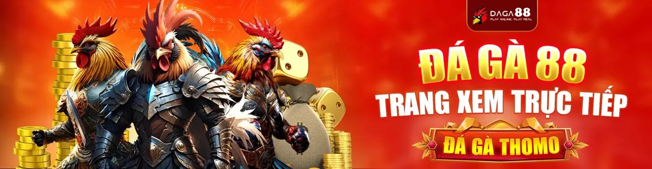 Hình ảnh một trận đá gà trực tuyến sôi động tại Kubet11 Nổ Hũ